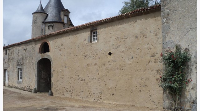 Image Not Found On Media Library